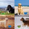 Travel Walking Pet Supplies Portable Cat Dog Bowls Water Feeder