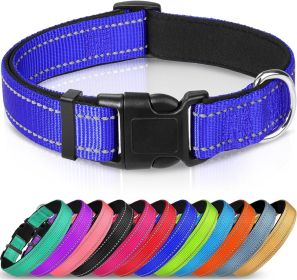 Adjustable Reflective Nylon Webbing Dog Collar (Option: Blue-L)